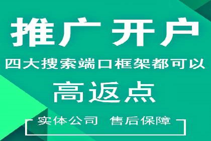 实战案例：SEM优化助力品牌知名度提升